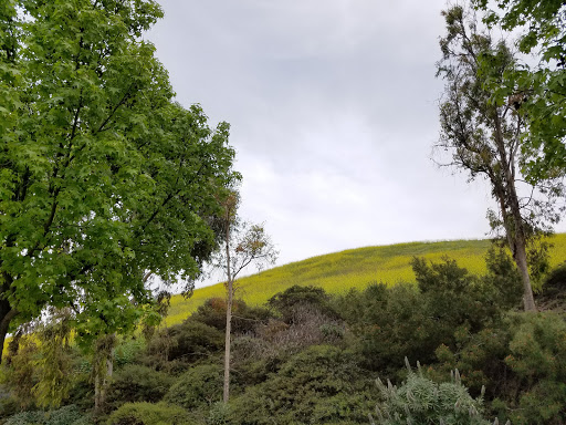 Park «Pathfinder Community Regional Park», reviews and photos, 18150 Pathfinder Rd, Rowland Heights, CA 91748, USA