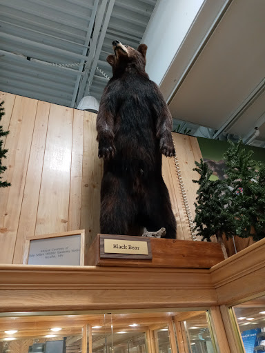 Sporting Goods Store «SCHEELS», reviews and photos, 1850 Adams St, Mankato, MN 56001, USA