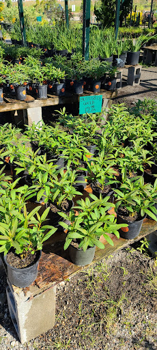 Plant Nursery «HOUSTON PLANTS & GARDEN WORLD», reviews and photos, 16726 North Fwy, Houston, TX 77090, USA