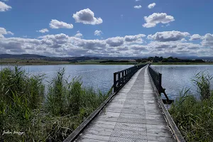 Tamar Island Wetlands Centre image