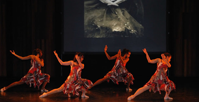 Avaliações doAluapDans- Companhia e Escola de Dança Paula Marques em Oeiras - Escola de dança