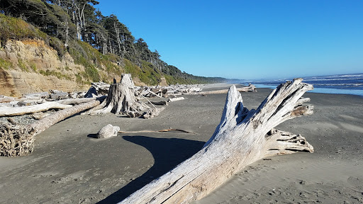 National Park «Olympic National Park», reviews and photos