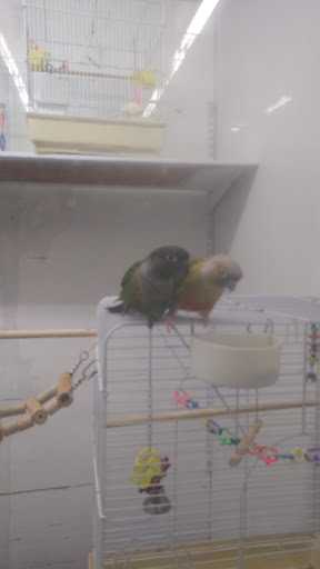 Pet Supply Store «Family Pet Store», reviews and photos, 38 Starrett Dr, Belfast, ME 04915, USA