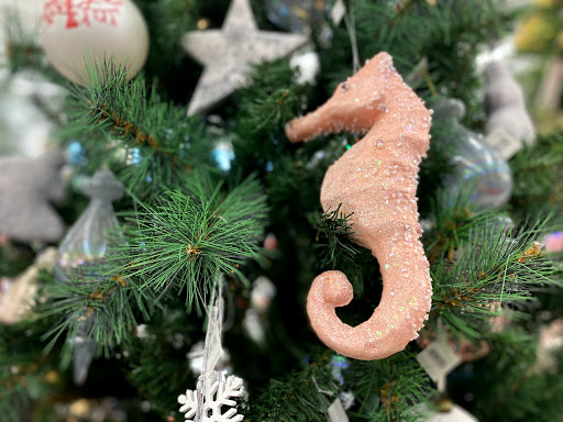 Hardware Store «Sunshine Ace Hardware Inc», reviews and photos, 9100 Bonita Beach Rd SE, Bonita Springs, FL 34135, USA