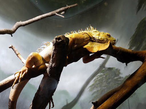 Zoo «Prospect Park Zoo», reviews and photos, 450 Flatbush Ave, Brooklyn, NY 11225, USA