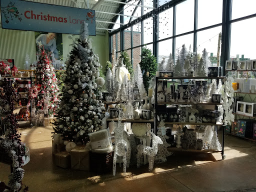 Garden Center «Pike Nurseries», reviews and photos, 615 W Crossville Rd, Roswell, GA 30075, USA