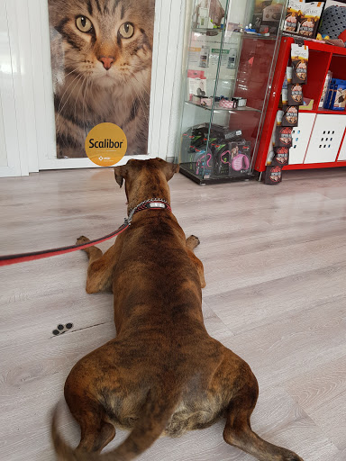 Tus Veterinarios Mary Paz y Oscar en Murcia