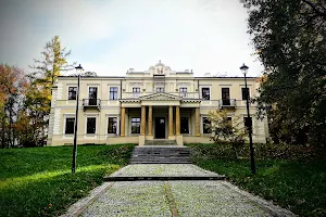 Pałac Wielopolskich w Częstocicach image
