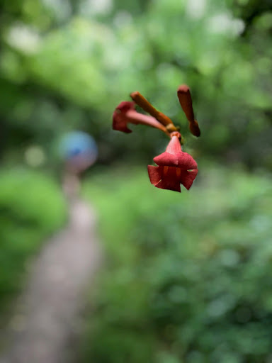 Recreation Center «Smoke Ranch Recreation Center», reviews and photos, 2750 Chandler Mews Dr, Las Vegas, NV 89108, USA