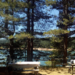 Photo n°1 de l'avis de Giuseppe.e fait le 11/08/2019 à 11:53 sur le  Isola di ristoro Teatro tenda Ampollino à Caprara