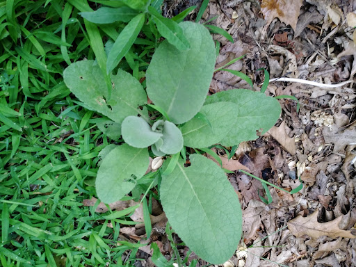 Museum «Curwood Castle Museum», reviews and photos, 224 Curwood Castle Dr, Owosso, MI 48867, USA