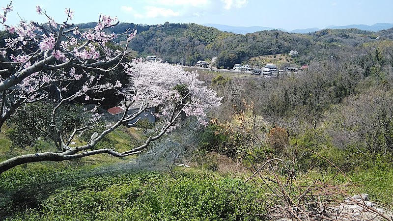 宮山中桜公園