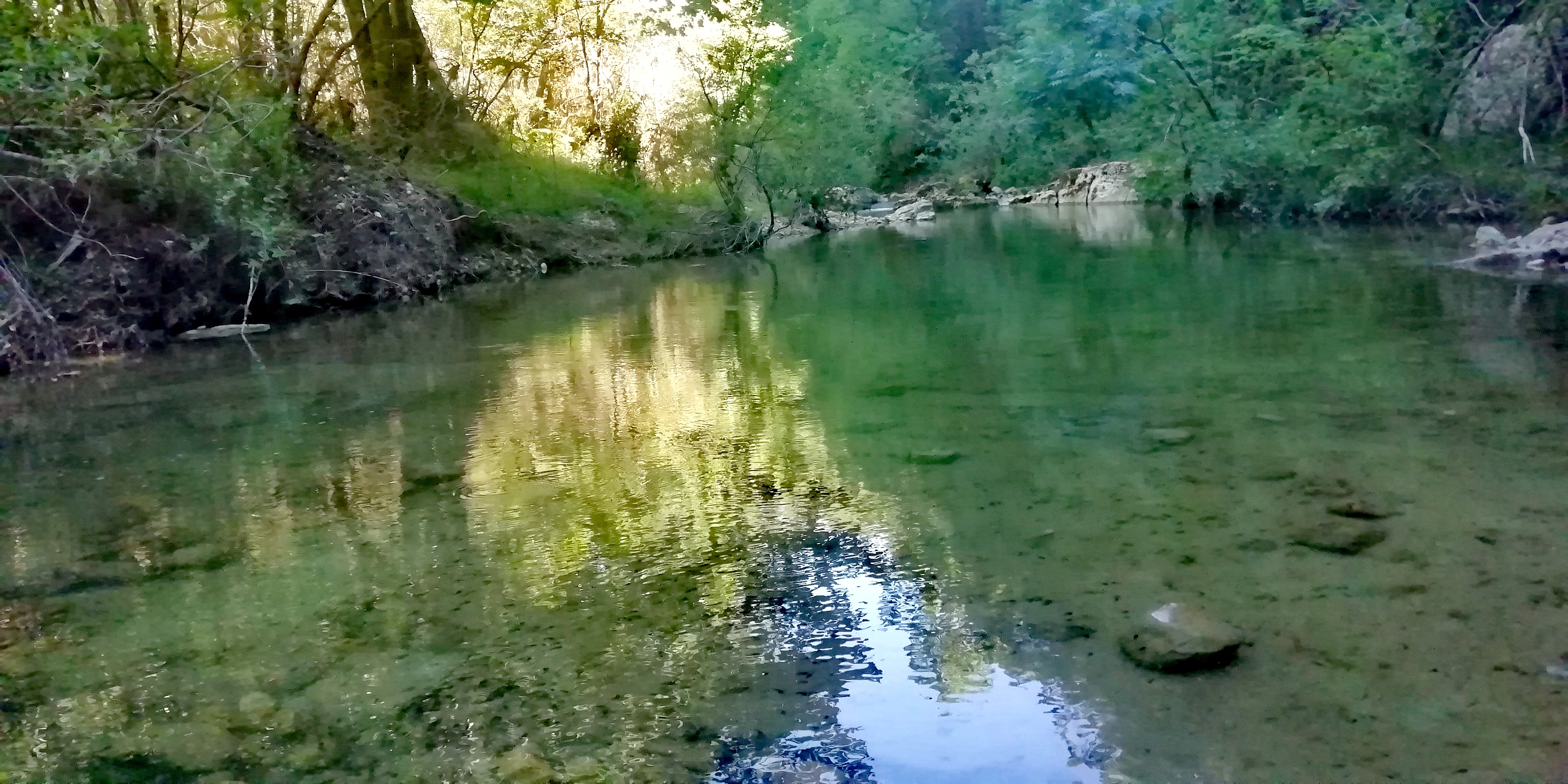 Photo n° 2 de l'avis de Angélique. fait le 02/06/2019 à 12:36