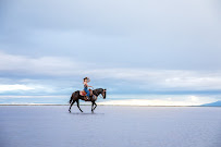 Tatiana Crandall Photography - Photo 6 - Car repair in , Idaho Falls