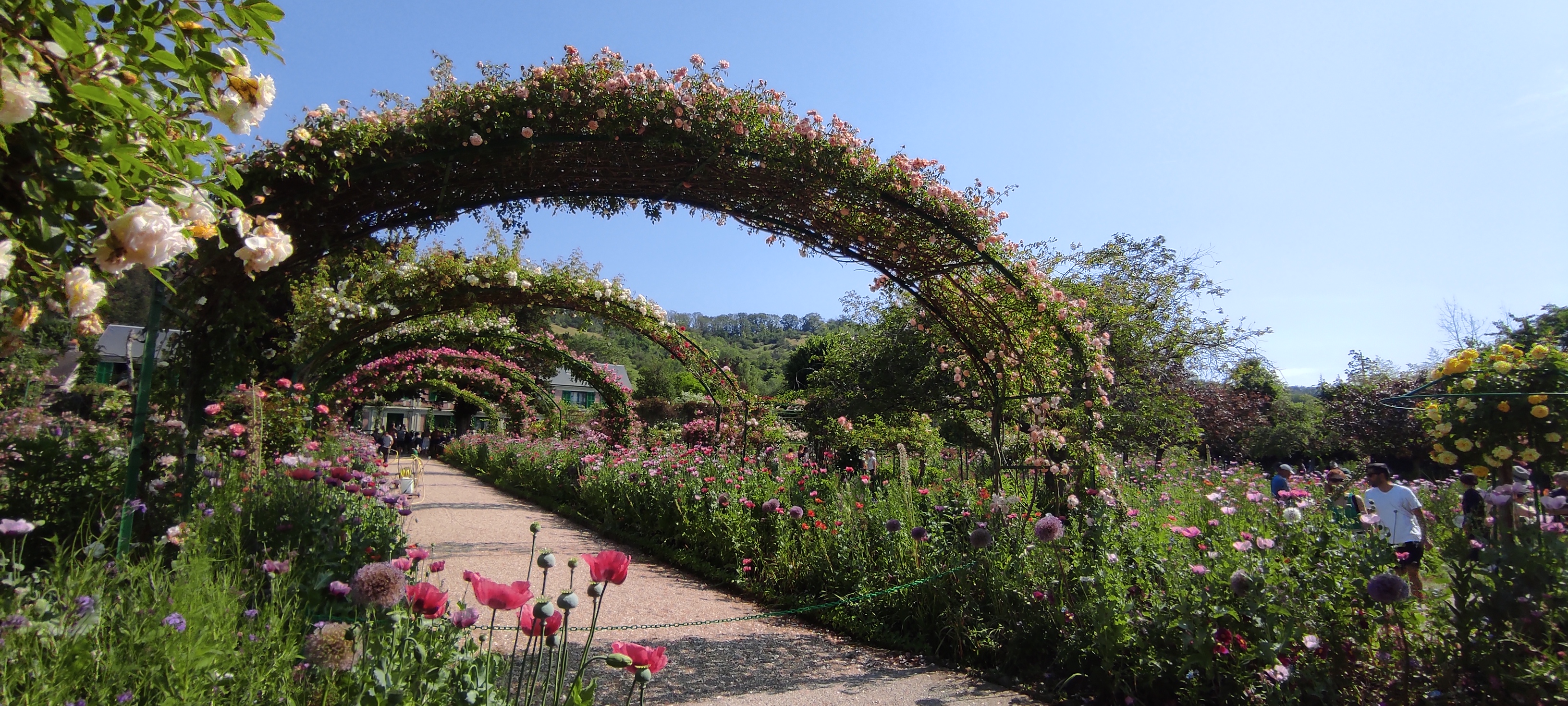 Photo n° 3 de l'avis de Dany.� fait le 05/07/2023 à 09:03