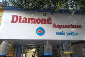 Diamond Aquarium image