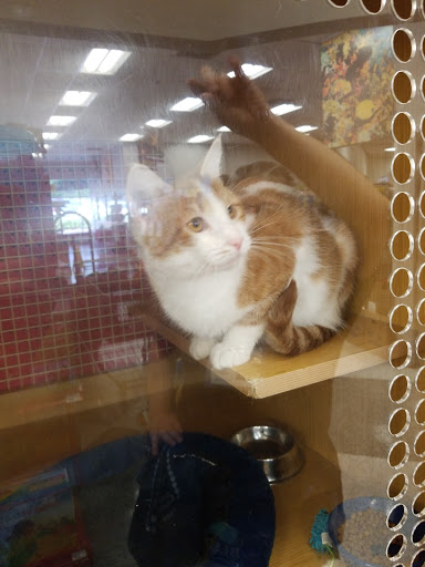 Pet Supply Store «Petco Animal Supplies», reviews and photos, 10060 US Highway 40 G-150, Ellicott City, MD 21042, USA