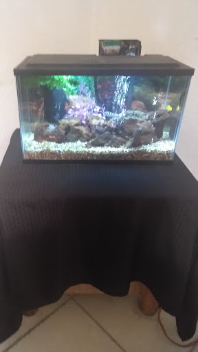 Pet Supply Store «Petco Animal Supplies», reviews and photos, 2140 W Cleveland Ave #100, Madera, CA 93637, USA