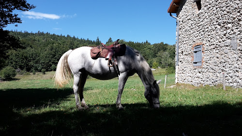 Cavaliers des Revoux à Saint-Martin-en-Vercors