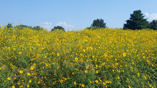 Golf Club «Crescent Farms Golf Club», reviews and photos, 745 Lewis Rd, Crescent, MO 63025, USA