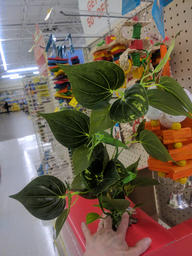 Pet Supply Store «PetSmart», reviews and photos, 250 Grossman Dr, Braintree, MA 02184, USA