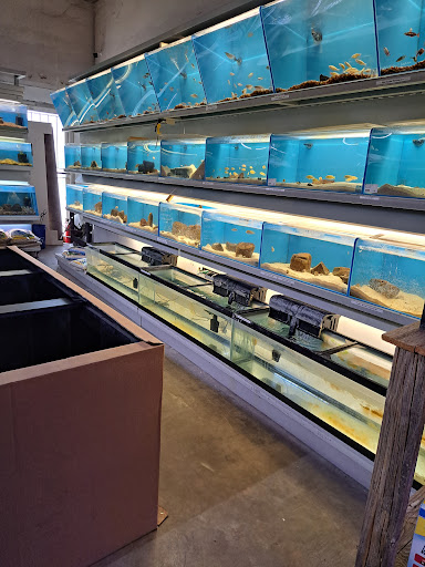 Tropical Fish Store «Salty Fish Aquariums», reviews and photos, 5535 Brewster St, San Antonio, TX 78233, USA