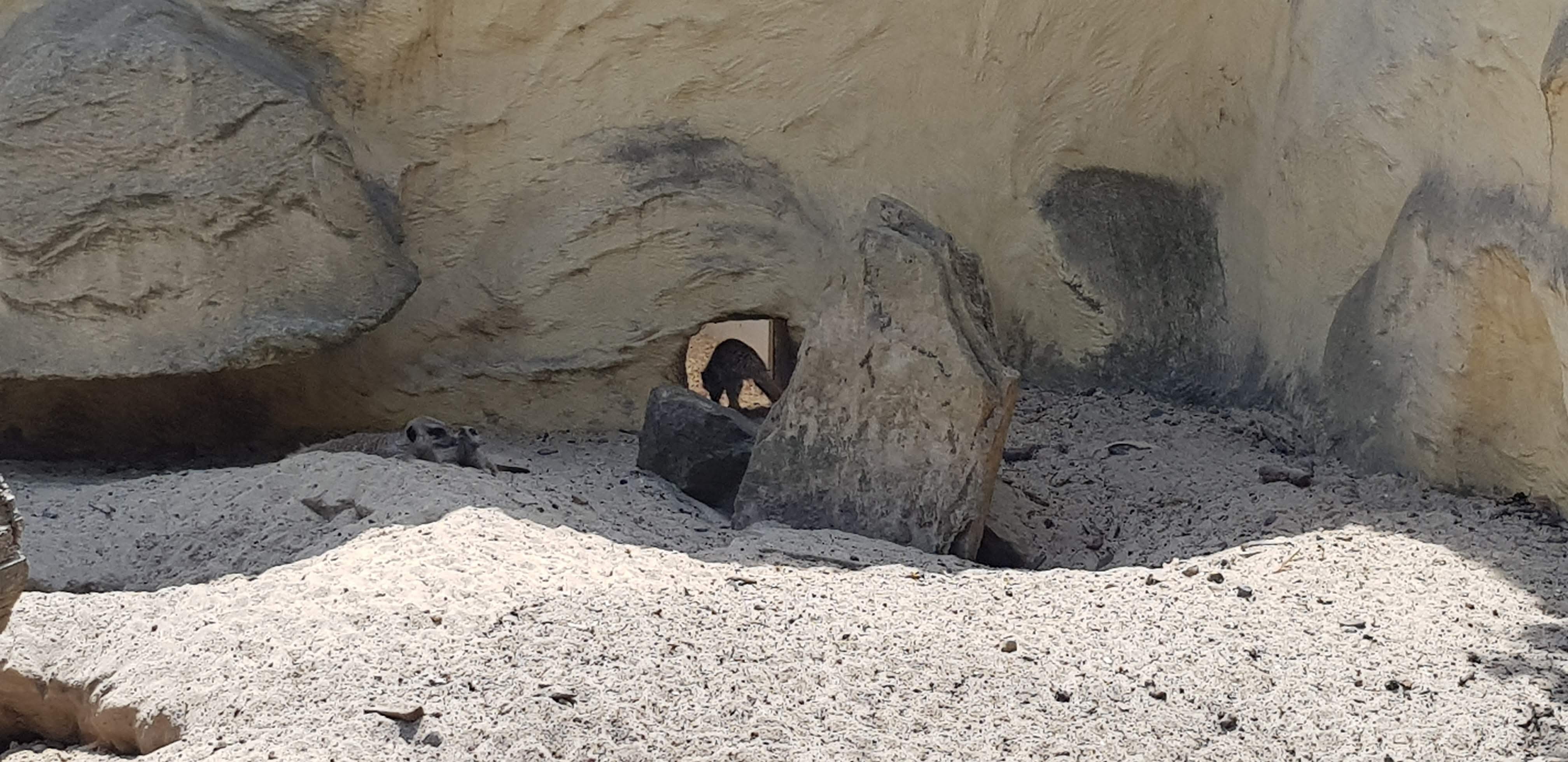 Photo n° 16 de l'avis de Nuk3d.t fait le 13/10/2019 à 18:58