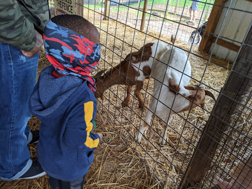 Farm «Jaemor Farms», reviews and photos, 5340 Cornelia Hwy, Alto, GA 30510, USA