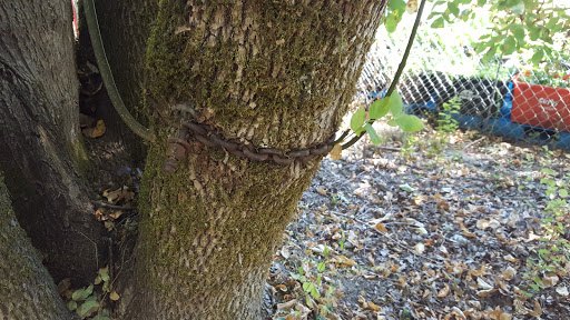 Park «Melilah Park», reviews and photos, SW 182nd Ave, Aloha, OR 97006, USA