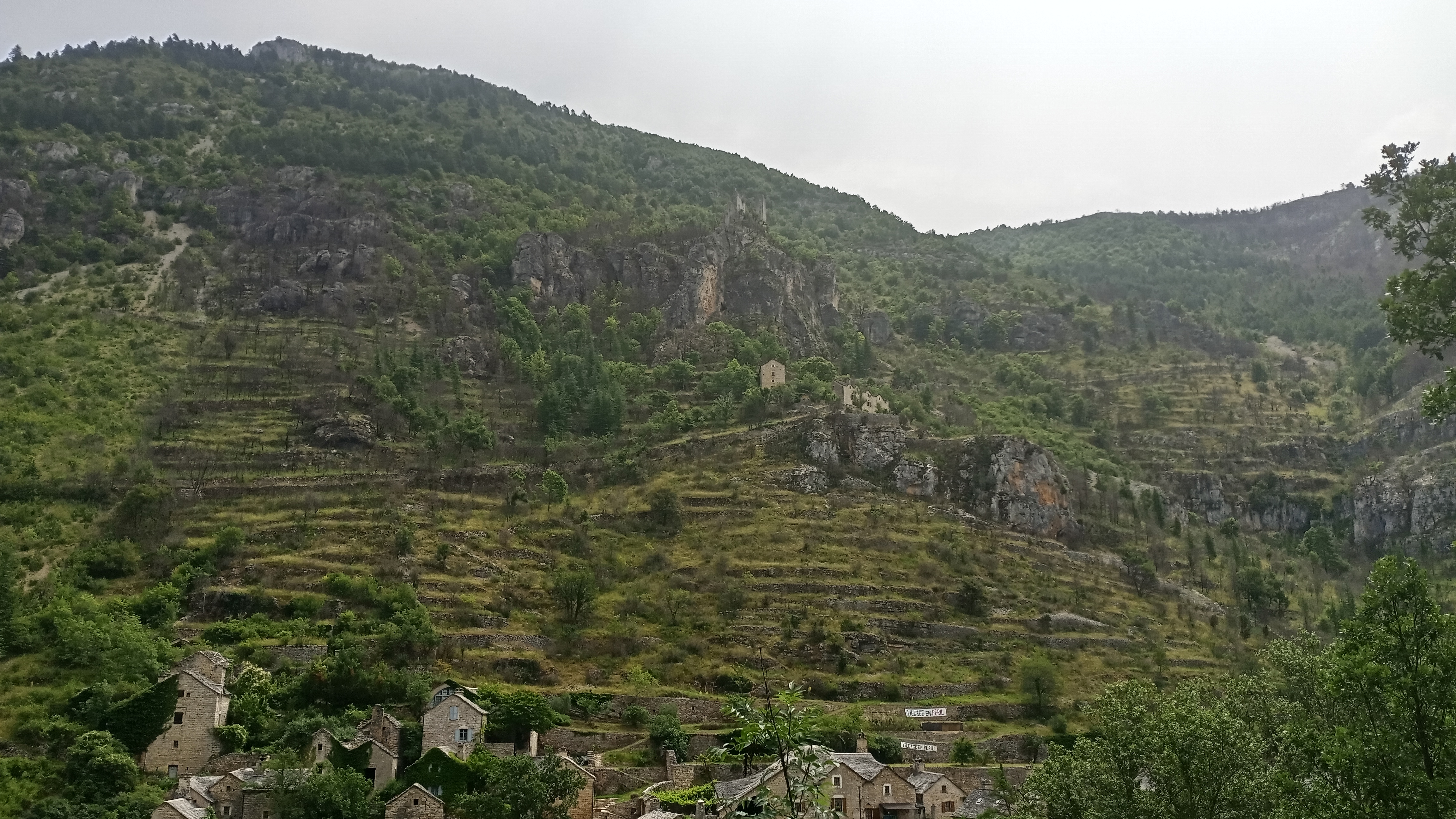 Photo n° 7 de l'avis de didier.e fait le 28/06/2023 à 18:28