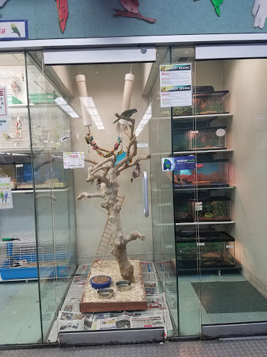 Pet Store «Petland Discounts - Pitkin Avenue», reviews and photos, 1689 Pitkin Ave, Brooklyn, NY 11212, USA