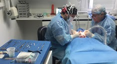 Policlínica Dental Dr. Pérez Vicario en Palencia