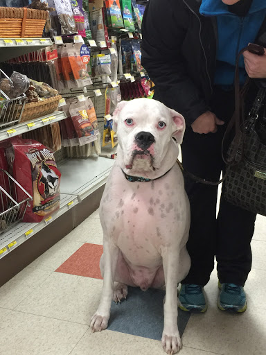 Pet Supply Store «Stoltzfus Feed & Supply», reviews and photos, 80 PA-41, Gap, PA 17527, USA