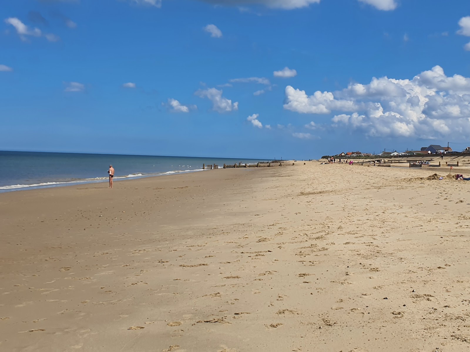 Fotografija Walcott plaža z svetel pesek površino