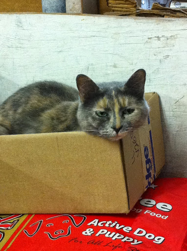 Garden Center «Hillside Feed & Seed Store», reviews and photos, 1805 S Hillside St, Wichita, KS 67211, USA