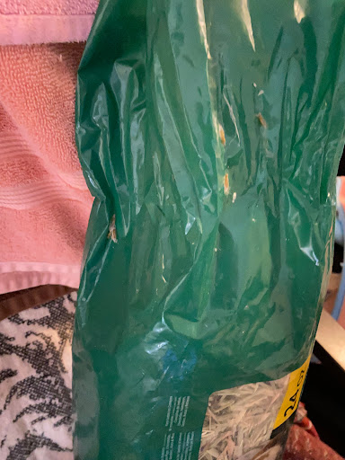 Supermarket «Publix Super Market at Doral Commons», reviews and photos, 7550 NW 104th Ave, Doral, FL 33178, USA