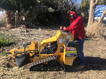 Central Valley Stump Grinding