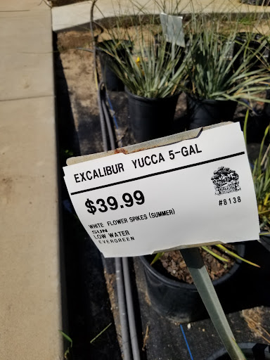 Plant Nursery «Guerin Nursery and Boutique», reviews and photos, 1418 Fall Creek Hwy, Granbury, TX 76049, USA