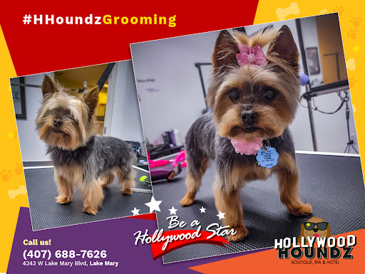 Pet Groomer «Hollywood Houndz Boutique, Spa & Hotel», reviews and photos, 4243 W Lake Mary Blvd, Lake Mary, FL 32746, USA