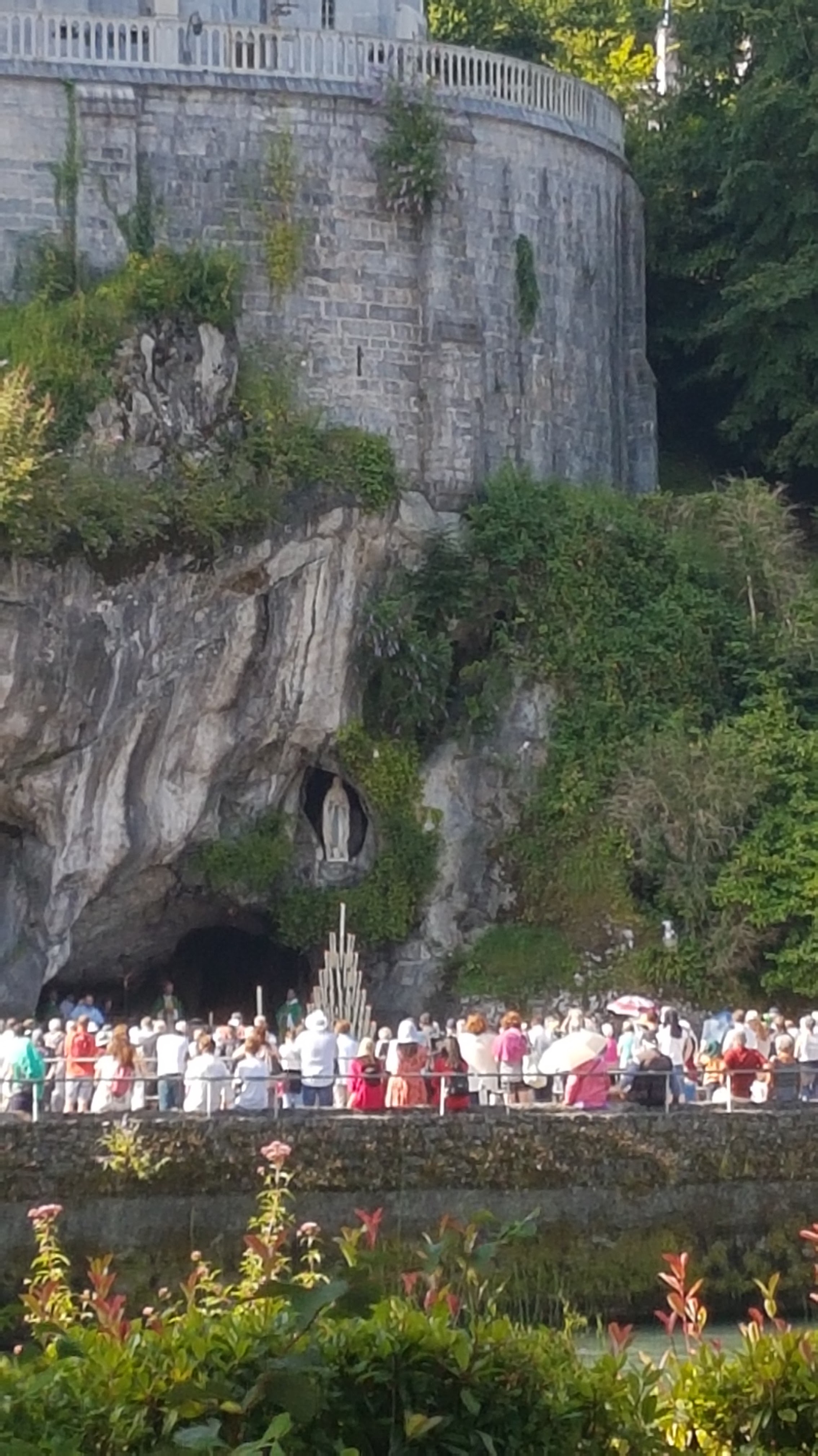 Photo n° 1 de l'avis de sauvat.a fait le 23/07/2020 à 17:12