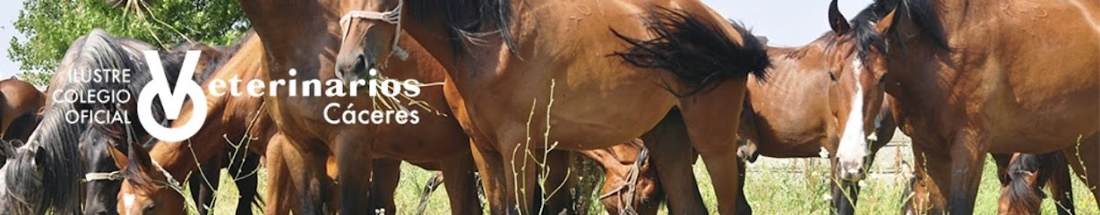Información y opiniones sobre Colegio Oficial de Veterinarios de Cáceres de Cáceres
