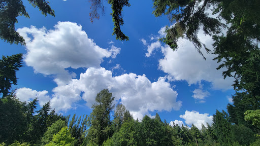 Park «Viewpoint Park», reviews and photos, 134th & NE 24th Street, Bellevue, WA 98005, USA