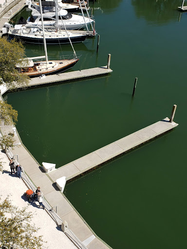 Tourist Attraction «Pirates of Hilton Head», reviews and photos, 149 Lighthouse Rd, Hilton Head Island, SC 29928, USA