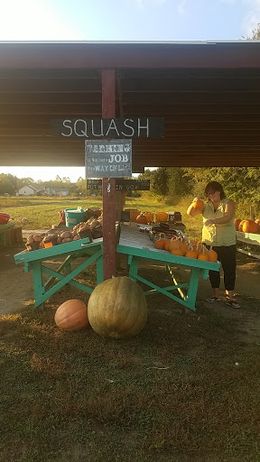 Grocery Store «Liepes Farm & Market», reviews and photos, 3135 S Cologne Ave, Mays Landing, NJ 08330, USA