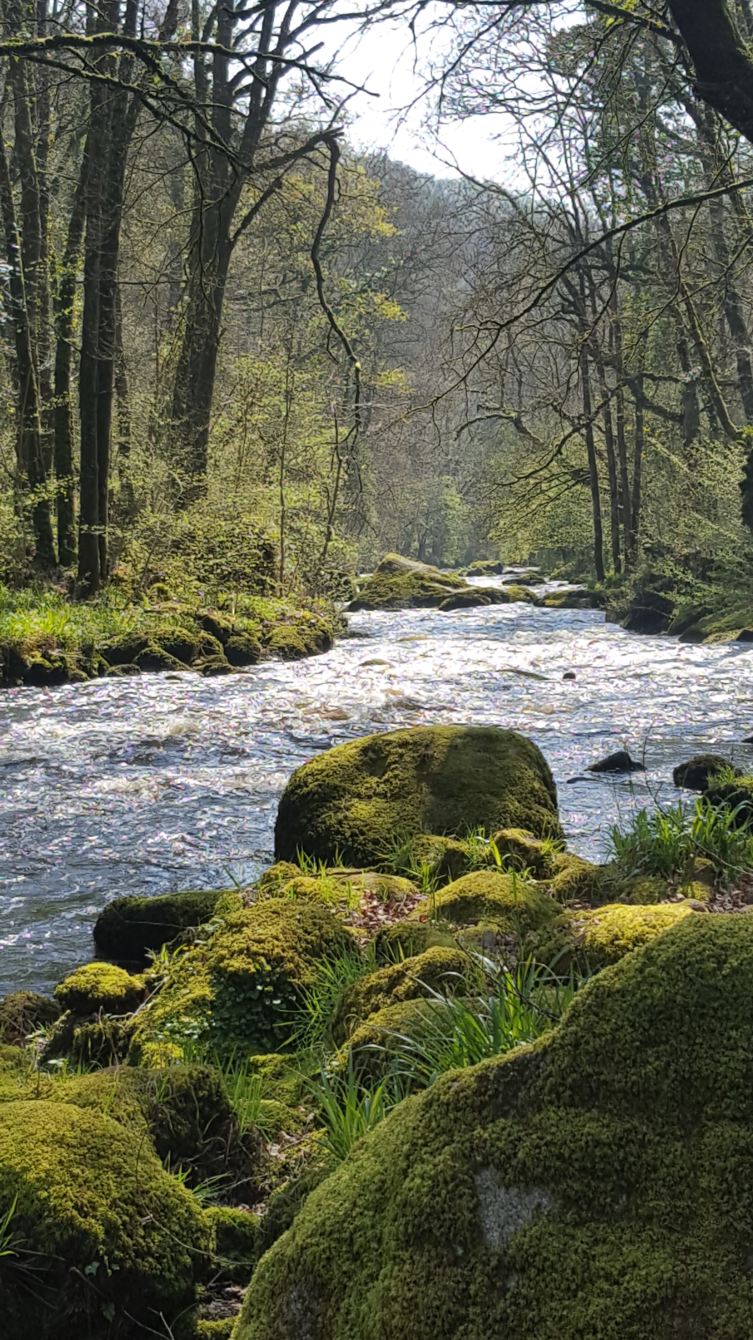 Photo n° 8 de l'avis de lpsainbioz.a fait le 12/04/2019 à 16:10