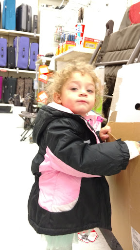 Discount Store «Kmart», reviews and photos, 19563 Coastal Hwy, Rehoboth Beach, DE 19971, USA