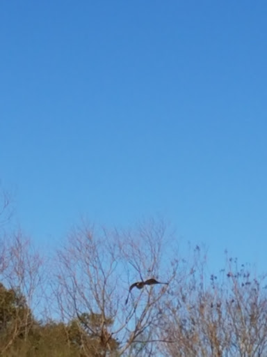 Car Wash «Coachworks Car Wash», reviews and photos, 3919 Juniper Trace, Austin, TX 78738, USA