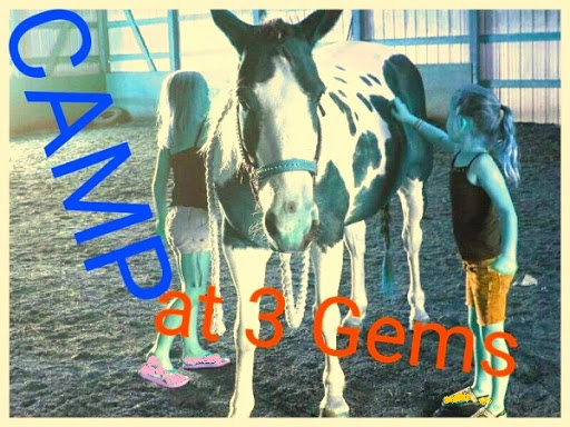 Tack Shop «3 Gems Tack & Stables», reviews and photos, 1175 85th Ave NW, Moorhead, MN 56560, USA