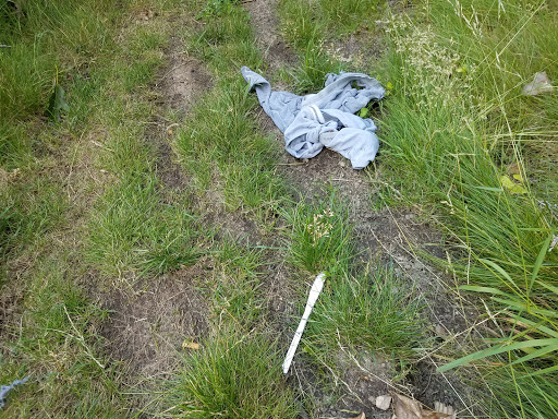 Gourmet Grocery Store «Eastside Marketplace», reviews and photos, 165 Pitman St, Providence, RI 02906, USA