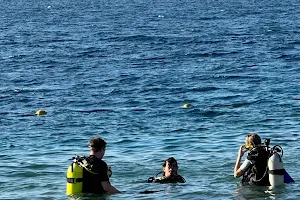 Aqaba Shark Dive Centre image